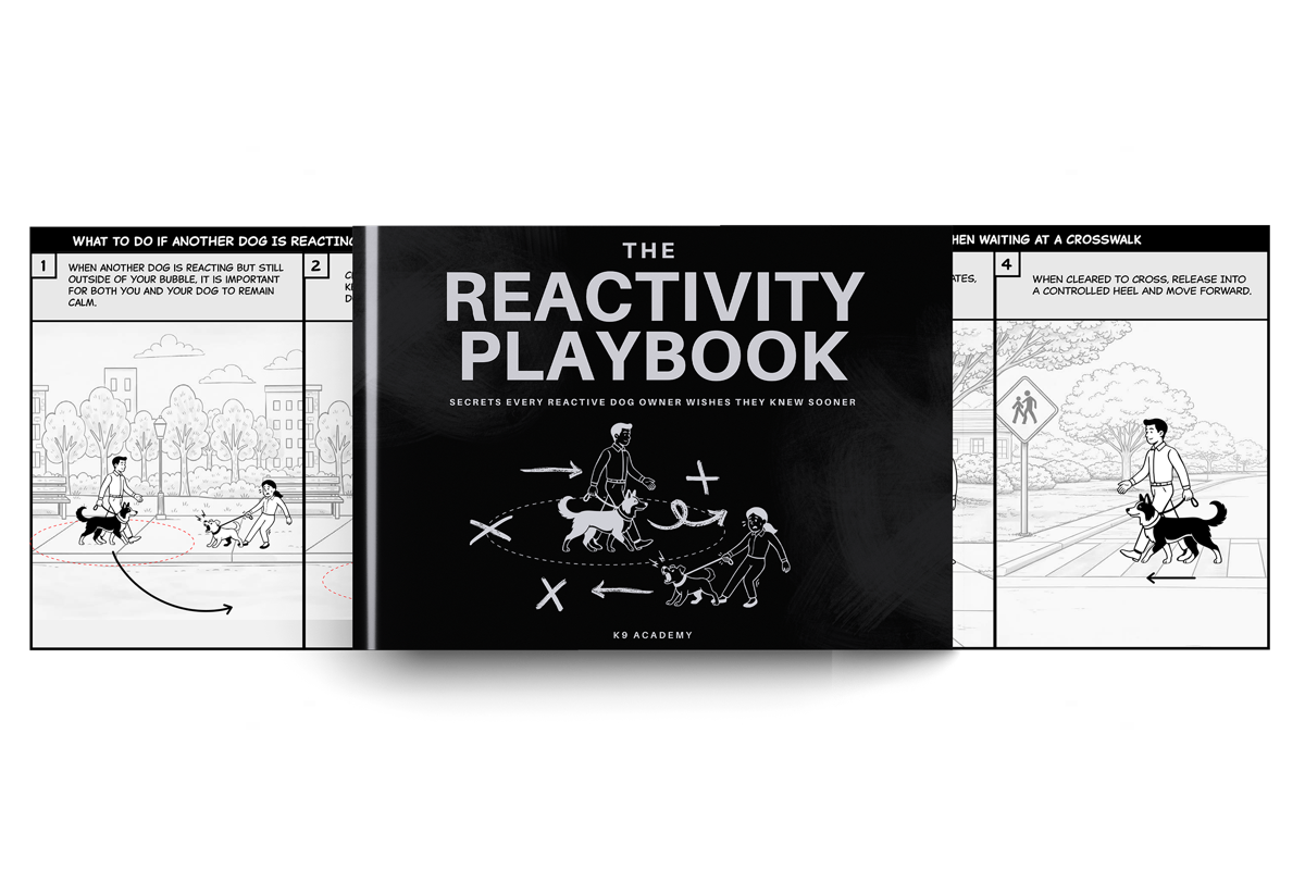 The Reactivity Playbook