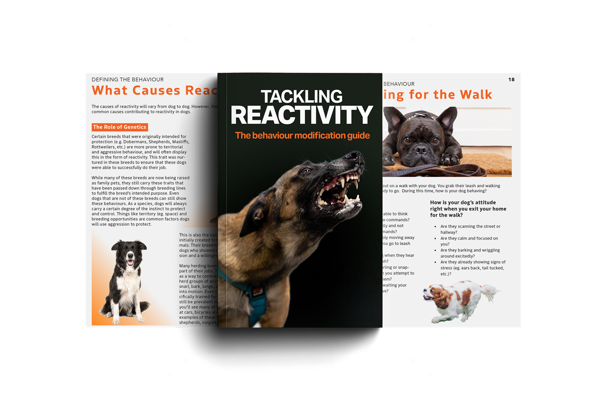 Tackling Reactivity