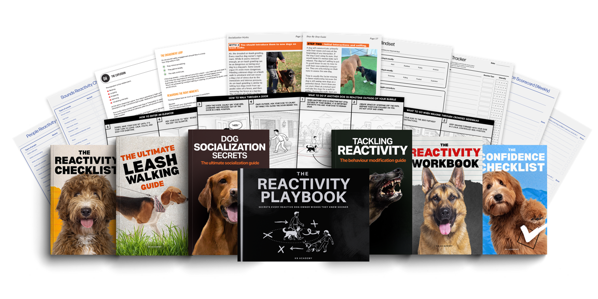 The Complete Reactivity Reset Package — 7 Books
