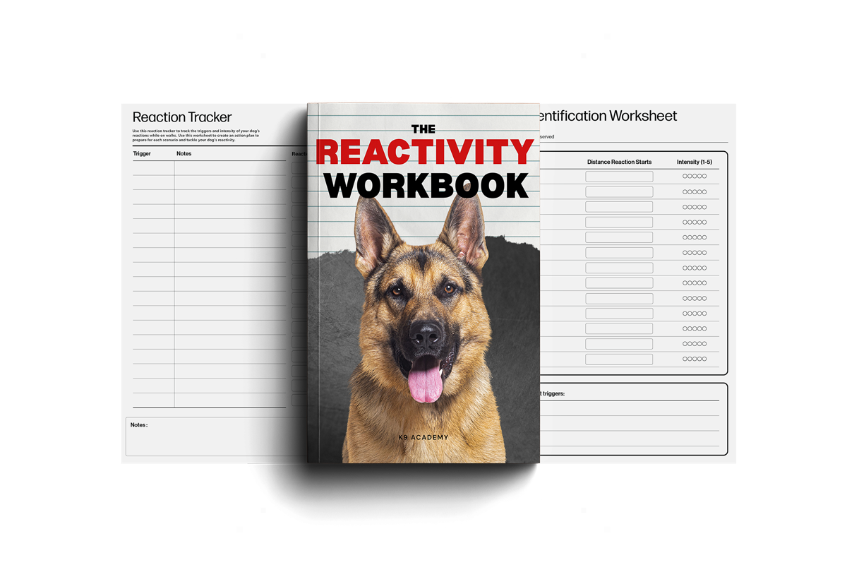 The Reactivity Workbook